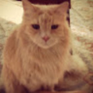 Meet your Posher, Kelsey